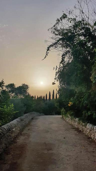 Villa Calma Noto Eksteriør billede
